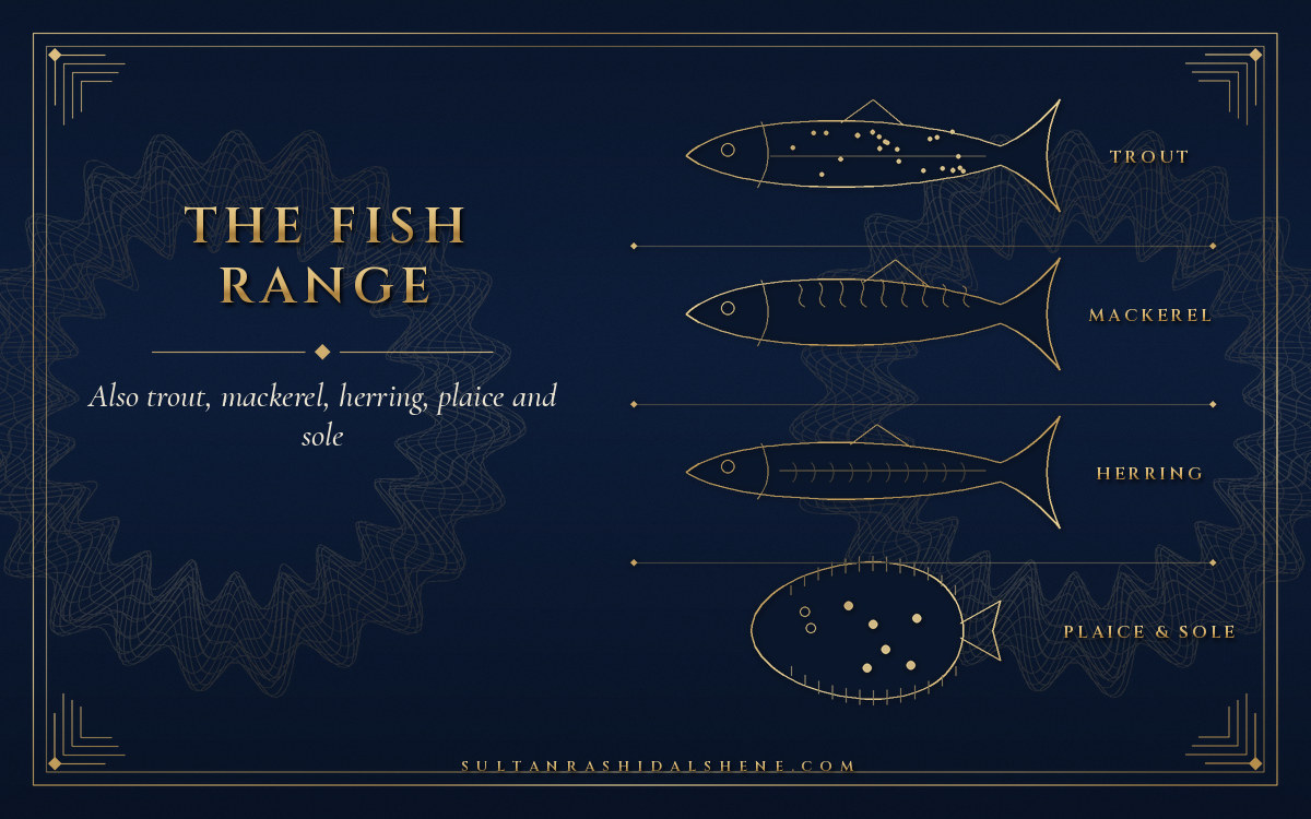 Code-drawn navy and gold catalogue card titled The Fish Range: gold line drawings of a trout, a mackerel, a herring and a plaice in four ruled rows, labelled trout, mackerel, herring, plaice and sole
