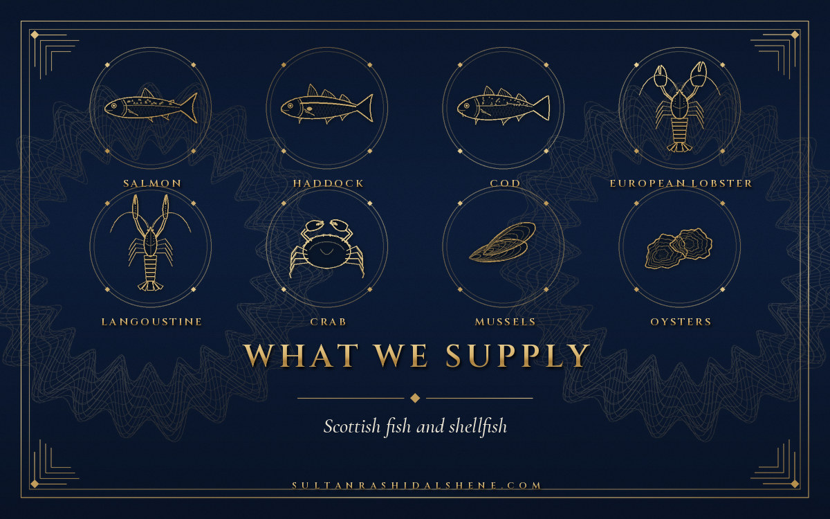 Code-drawn navy and gold card titled What We Supply: eight gold line drawings in medallions of salmon, haddock, cod, European lobster, langoustine, crab, mussels and oysters